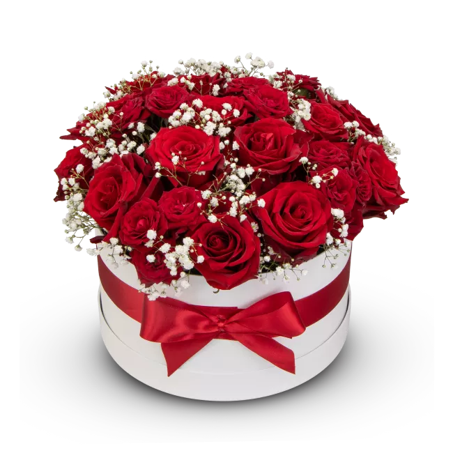 Box červených růží